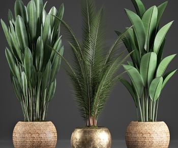 Modern Ground Green Plant Potted Plants-ID:368143085