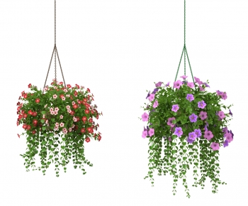 Modern Chlorophytum Comosum-ID:421454917