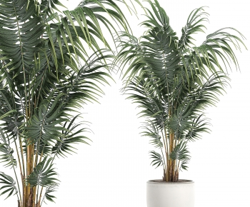 Modern Ground Green Plant Potted Plants-ID:179070003