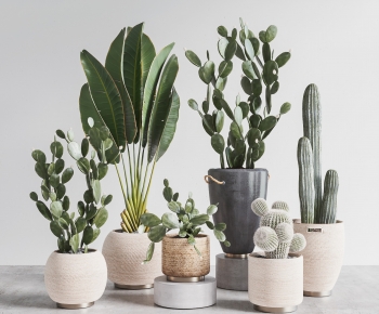 Modern Ground Green Plant Potted Plants-ID:567660333