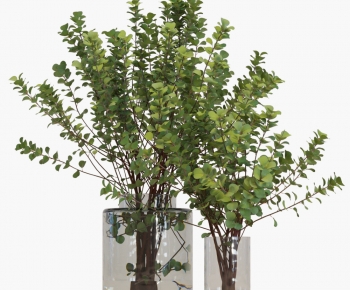 Modern Aquatic Green Plant-ID:992583047