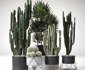Modern Ground Green Plant Potted Plants-ID:573296075