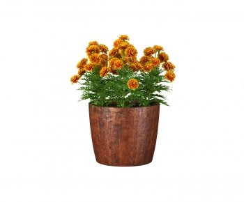Modern Potted Green Plant-ID:801950934