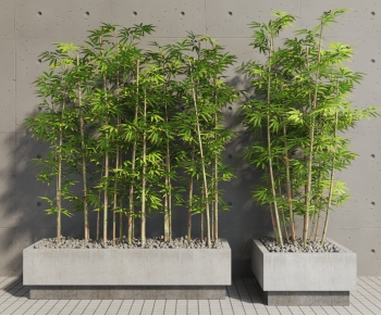Modern Bamboo-ID:538315066