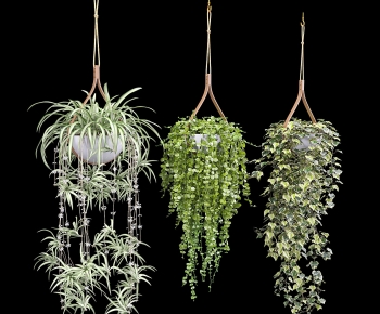 Modern Chlorophytum Comosum-ID:755392071