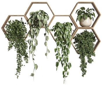 Modern Chlorophytum Comosum-ID:190655956