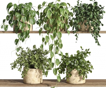 Modern Potted Green Plant-ID:119627006