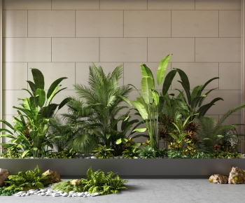 Modern Plant Landscaping-ID:597043048