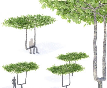 Modern Tree-ID:151613956