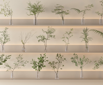 Modern Aquatic Green Plant-ID:505072129