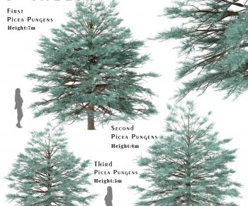 Modern Tree-ID:437093978