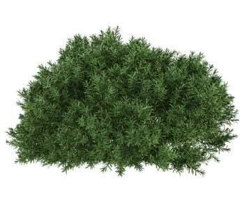 Modern Shrubbery-ID:581707952