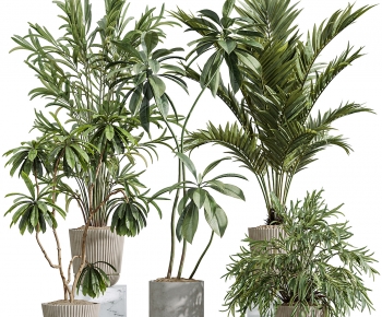 Modern Ground Green Plant Potted Plants-ID:961489927