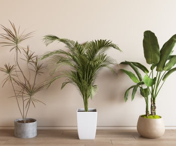 Modern Ground Green Plant Potted Plants-ID:767493018