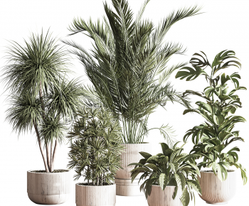 Modern Ground Green Plant Potted Plants-ID:630333906