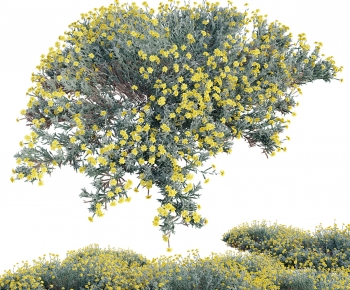 Modern Flowers And Grass-ID:771365889