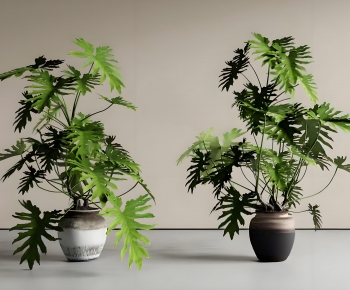 Modern Ground Green Plant Potted Plants-ID:158421043