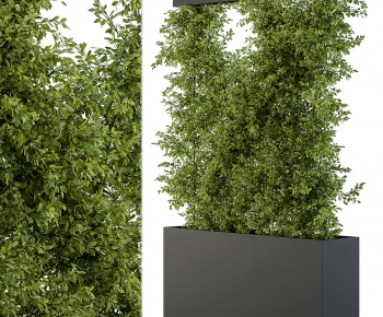 Modern Flower Bed, Flower Bowl, Flower Box-ID:684608948