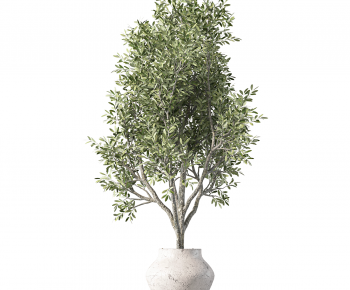 Modern Ground Green Plant Potted Plants-ID:835376021