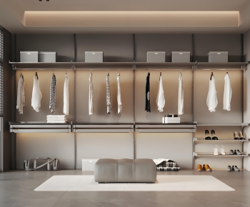 Modern Clothes Storage Area-ID:259382016