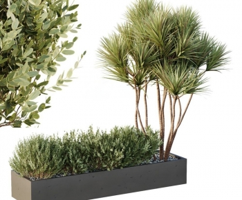 Modern Flower Bed, Flower Bowl, Flower Box-ID:209348921