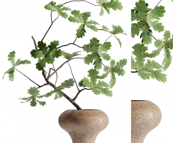 Modern Potted Green Plant-ID:562073957