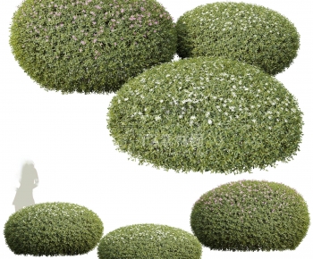 Modern Shrubbery-ID:832729366
