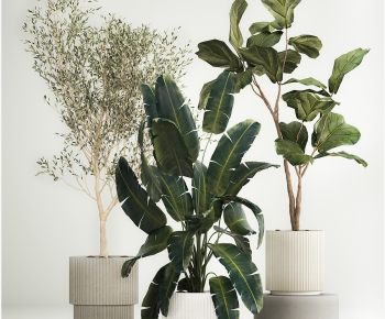 Modern Ground Green Plant Potted Plants-ID:974390033