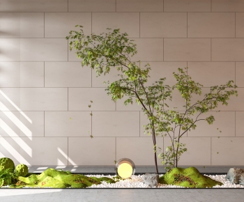 Modern Plant Landscaping-ID:326441055