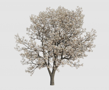 Modern Tree-ID:169781922