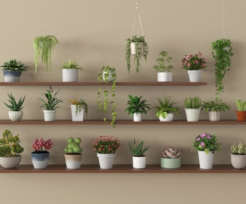 Modern Desktop Plant-ID:848519093