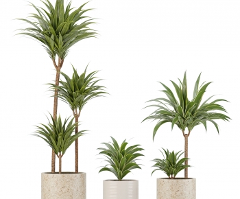 Modern Ground Green Plant Potted Plants-ID:605659011