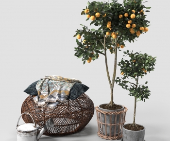 Modern Ground Green Plant Potted Plants-ID:837658887
