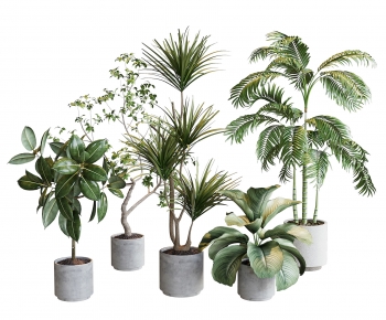 Modern Ground Green Plant Potted Plants-ID:538233049