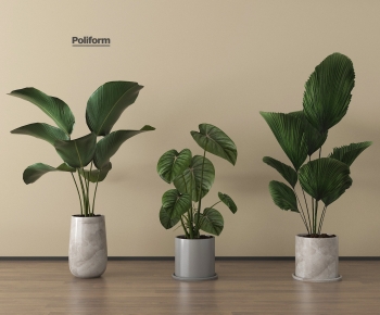 Modern Ground Green Plant Potted Plants-ID:528869615