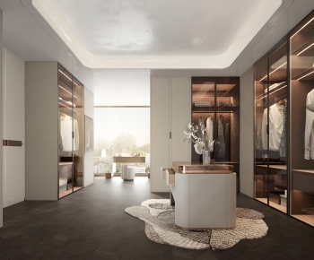 Modern Clothes Storage Area-ID:496541985