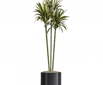 Modern Ground Green Plant Potted Plants-ID:430783999