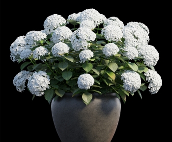 Modern Potted Green Plant-ID:379228126