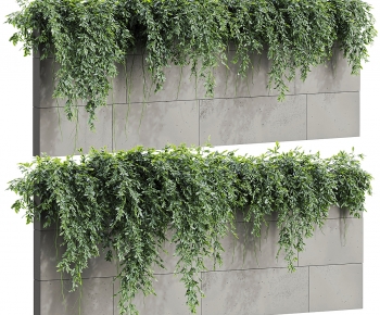 Modern Vine-ID:578336957