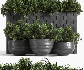 Modern Flower Bed, Flower Bowl, Flower Box-ID:748305087