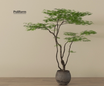 Wabi-sabi Style Ground Green Plant Potted Plants-ID:486491921