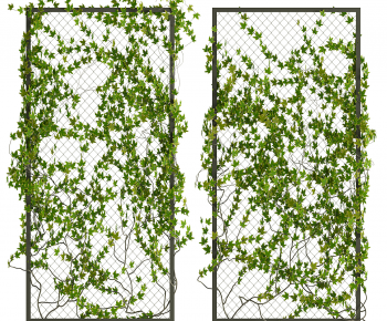 Modern Vine-ID:513493062