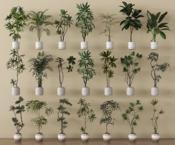 Modern Ground Green Plant Potted Plants-ID:477030044