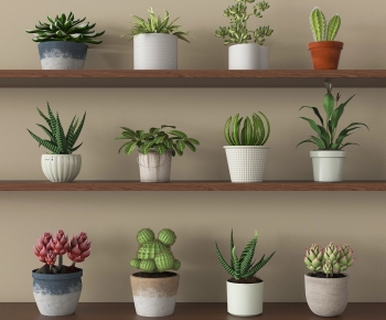 Modern Potted Green Plant-ID:952215915