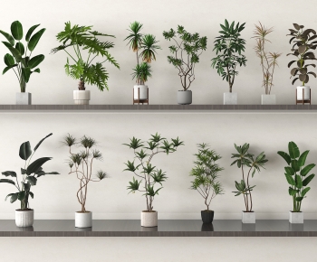 Modern Ground Green Plant Potted Plants-ID:434535987