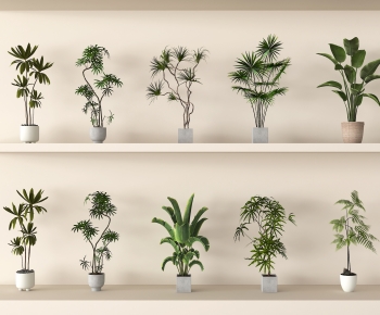 Modern Ground Green Plant Potted Plants-ID:343347076