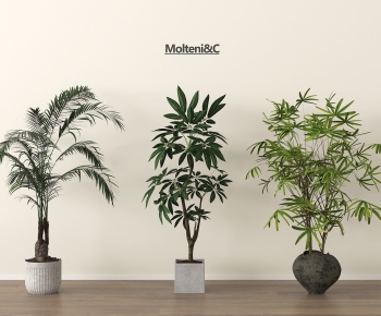 Modern Ground Green Plant Potted Plants-ID:629533052