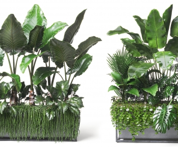 Modern Tree Pool-ID:640346052