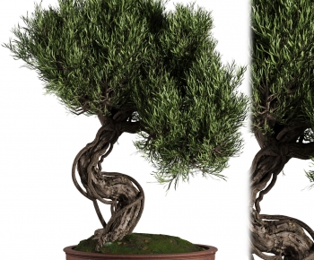 New Chinese Style Bonsai-ID:370318893