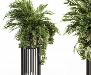 Modern Flower Bed, Flower Bowl, Flower Box-ID:285485036